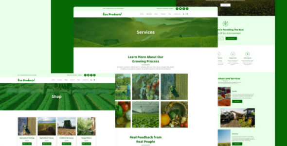 Eco Products (Codester)