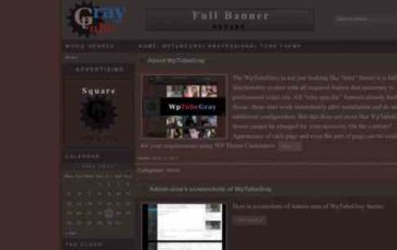 WPTubeGray (screenshot desktop)