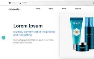 Zayxyz Store (screenshot desktop)