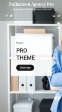 Fullscreen Agency Pro (screenshot mobile)