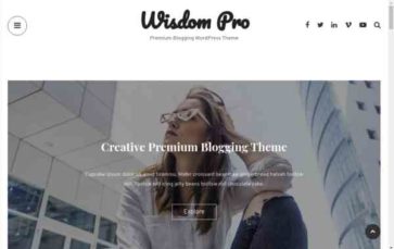 Wisdom Pro (screenshot desktop)