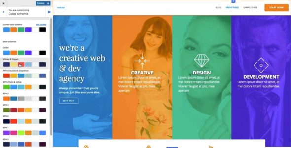Colibri WP Pro (ColibriWP)
