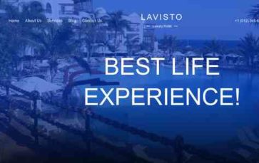 Lavisto Pro (screenshot desktop)