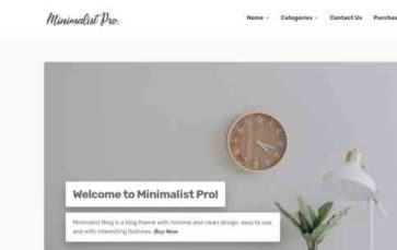 Minimalist Pro (screenshot desktop)