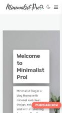 Minimalist Pro (screenshot mobile)