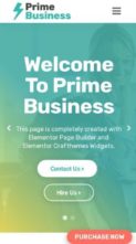 Prime Business Pro (screenshot mobile)