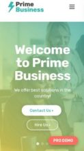 Prime Business (screenshot mobile)