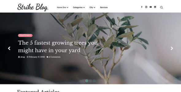 Strike Blog (Crafthemes)