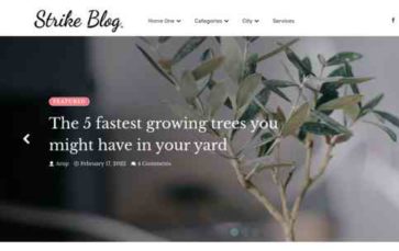 Strike Blog (screenshot desktop)
