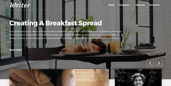 Writer Blog Pro (Crafthemes)