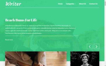 Writer Blog Pro (screenshot desktop)