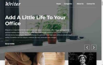 Writer Blog (screenshot desktop)