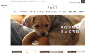Screenshot Desktop Petit (Crazy WP) (screenshot desktop)