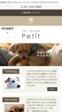 Screenshot Mobile Petit (Crazy WP) (screenshot mobile)