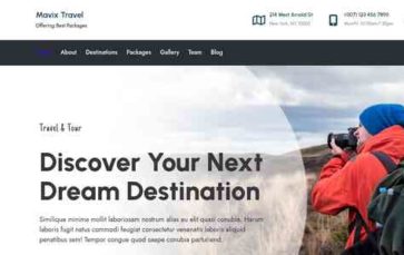 Mavix Travel (screenshot desktop)