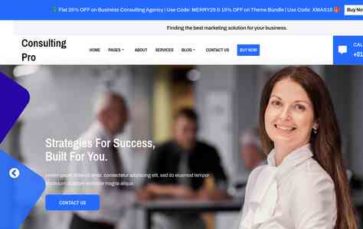 Business Consulting Agency Pro (screenshot desktop)