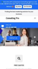 Business Consulting Agency Pro (screenshot mobile)