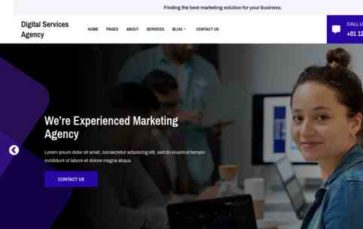 Digital Services Agency Pro (screenshot desktop)