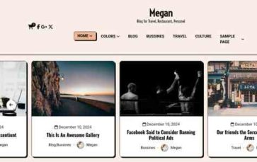 Megan Blog Multipurpose Pro (screenshot desktop)