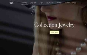 Teri Shop Ecommerce Pro (screenshot desktop)