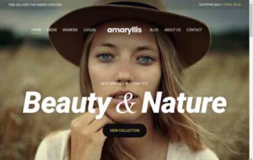 Amaryllis (CSSIgniter) - (screenshot desktop)