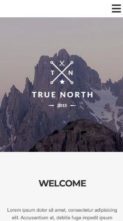 True North (screenshot mobile)