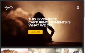 Vignette (CSSIgniter) - (screenshot desktop)