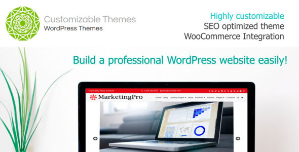 MarketingPro (Customizable Themes)