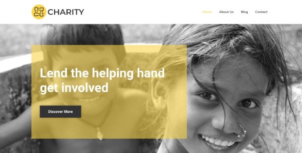 Charity (CyberChimps)