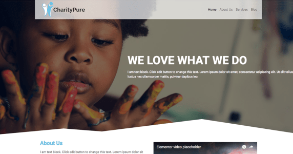 CharityPure (CyberChimps)
