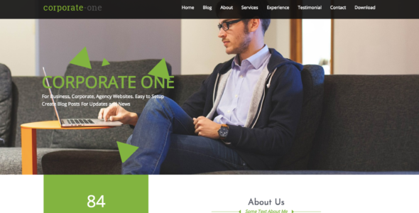 Corporate One (CyberChimps)