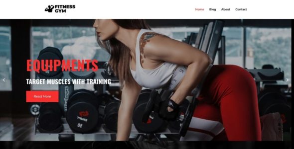 Fitness Gym (CyberChimps)