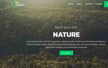 Nature (CyberChimps) (screenshot desktop)