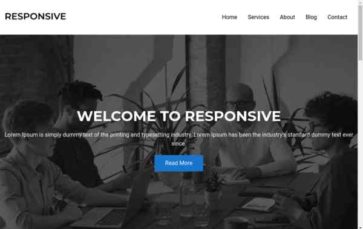 One Page Business (CyberChimps) - (screenshot desktop)