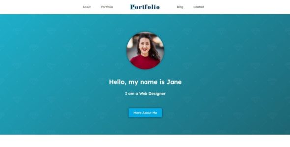 Portfolio (CyberChimps)