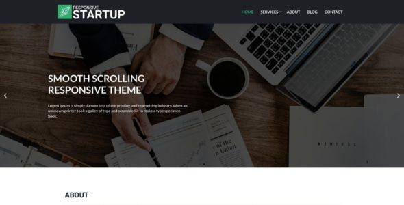 Startup Business (CyberChimps)
