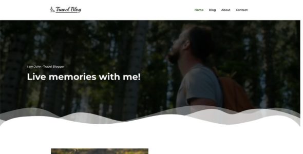 Travel Blogger (CyberChimps)