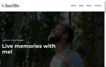 Travel Blogger (screenshot desktop)