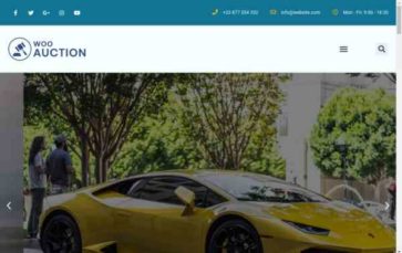 Screenshot Desktop Woo Auction (screenshot desktop)