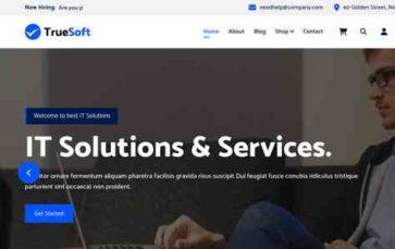 TrueSoft (screenshot desktop)