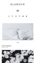 Gallery Pro (screenshot mobile)