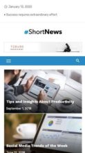 Short News Pro (screenshot mobile)