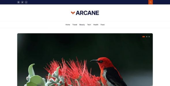 Lifestyle Blog Arcane Pro (DesignOrbital)