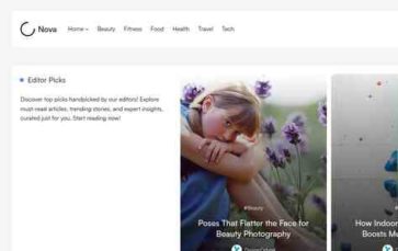 Minimal Blog Nova Pro (screenshot desktop)