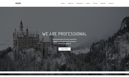 Miami (HasThemes)