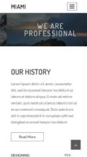Miami (HasThemes) - (screenshot mobile)