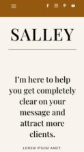 Screenshot Mobile Salley (screenshot mobile)