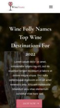 Wine Store (Divi Awesome) - (screenshot mobile)