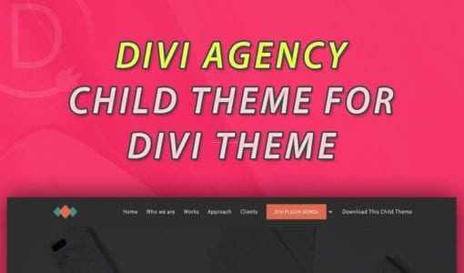 Agency Basic (Divi Builder Addons)