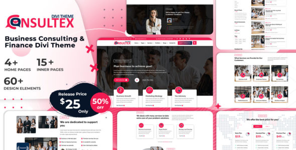 Consultex (Divi Builder Plus)